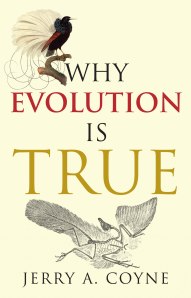 In Why Evolution is True, biologist and atheist Jerry Coyne seeks to drive a wedge between intelligent design and NeoDarwinian evolution, favoring the latter. But what if the Bible and "real world" engineering both make a case that there is less of a contrast than what Coyne would have us believe? Would a little imagination from an engineer help?